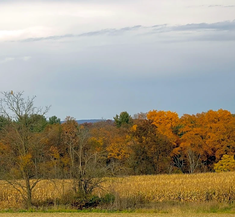Showers and Cooler Temps Expected in Pennsylvania