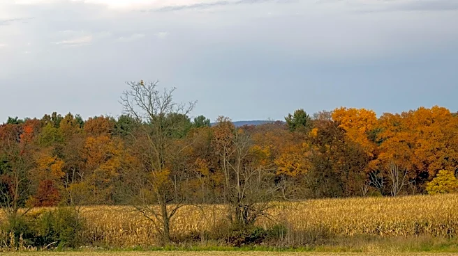 Showers and Cooler Temps Expected in Pennsylvania