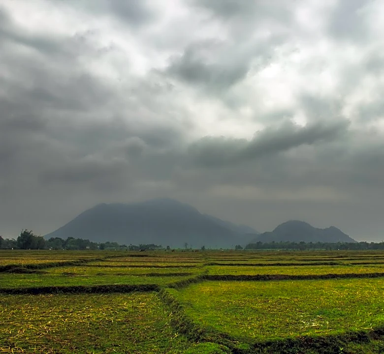 Understanding Seasonal Weather Patterns and Their Impact on Agriculture