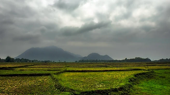 Understanding Seasonal Weather Patterns and Their Impact on Agriculture