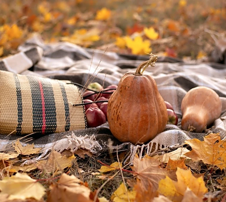 How to Dress Comfortably for a Fall Picnic