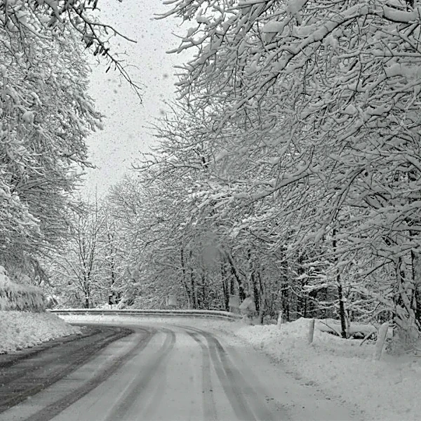 Understanding the Earliest Snowfall Dates Across the U.S.