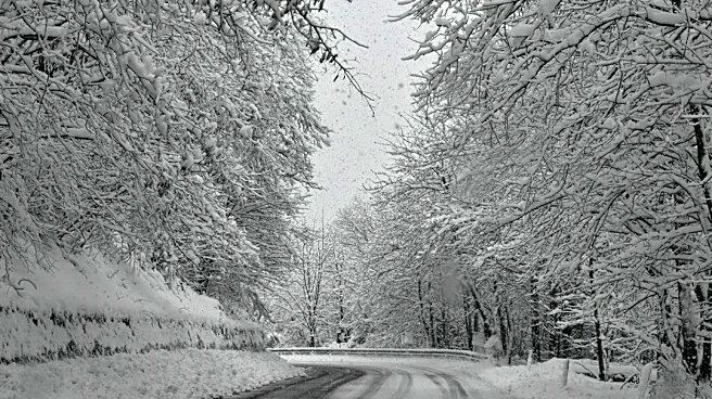Understanding the Earliest Snowfall Dates Across the U.S.