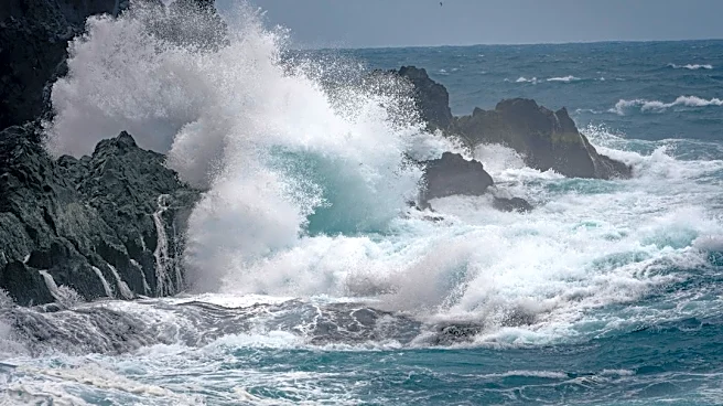 Hawai'i's Iconic Hōlei Sea Arch Collapses After 550 Years