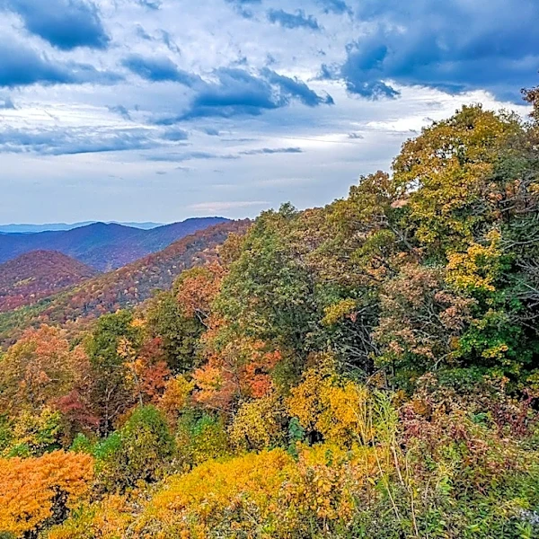How to Experience Fall Foliage in Asheville, NC
