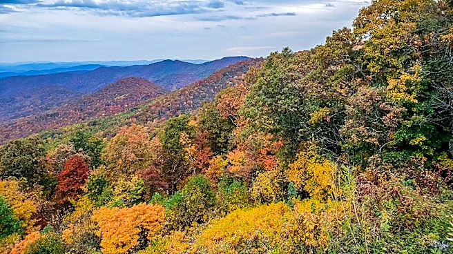 How to Experience Fall Foliage in Asheville, NC