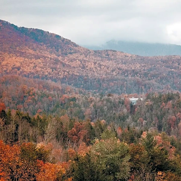 Understanding Fall Foliage Timing Across Different Elevations
