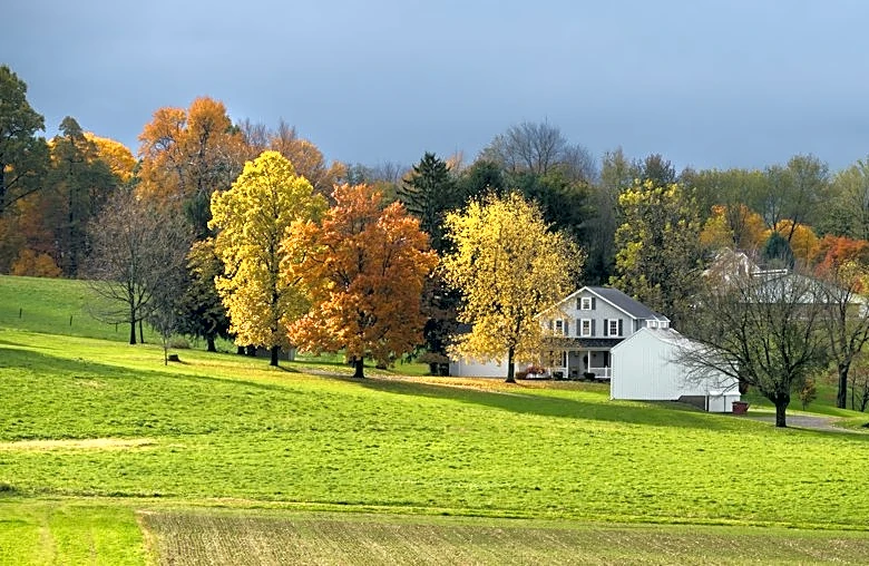 Understanding the Early Colors of Fall Foliage