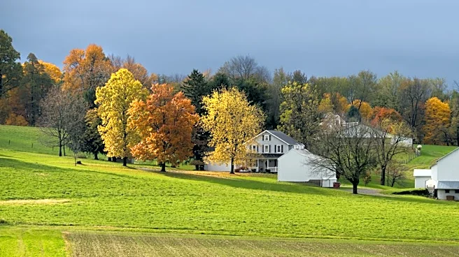 Understanding the Early Colors of Fall Foliage