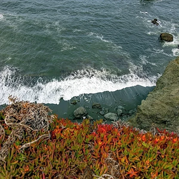 How El Niño Impacts California’s Fall Weather