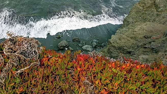 How El Niño Impacts California’s Fall Weather