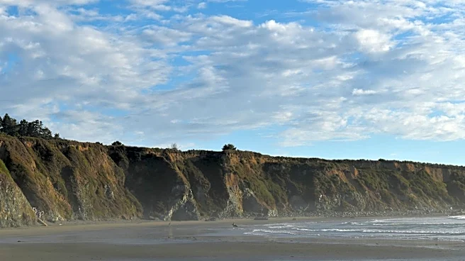 El Niño-driven Kelvin Wave to Elevate Sea Levels Along California Coast