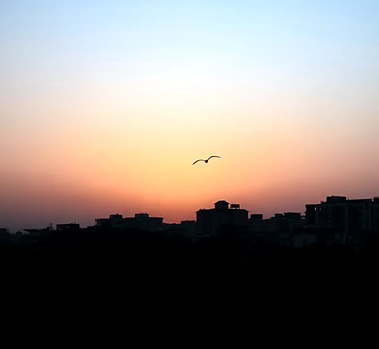 Understanding Sunrise and Sunset Times in Kansas City