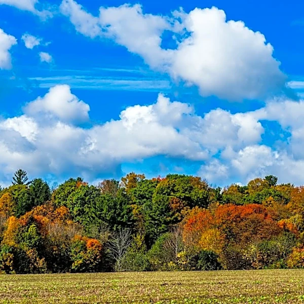 Understanding Regional Fall Weather Patterns Across the U.S.