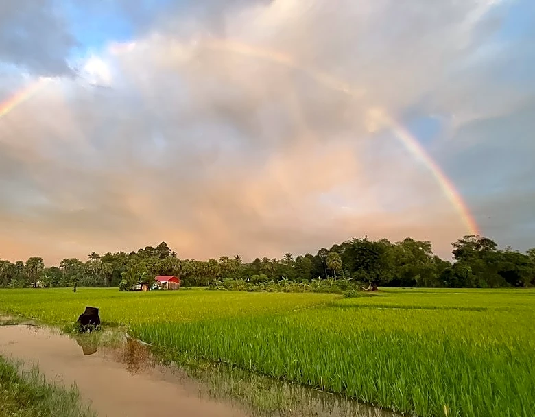Supernumerary Rainbows Captured Over New Jersey