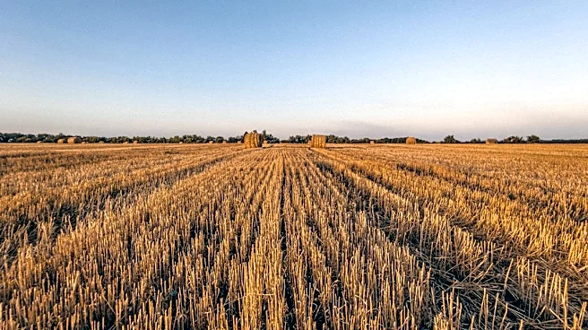 How Weather Impacts Fall Harvests: Key Insights for Farmers