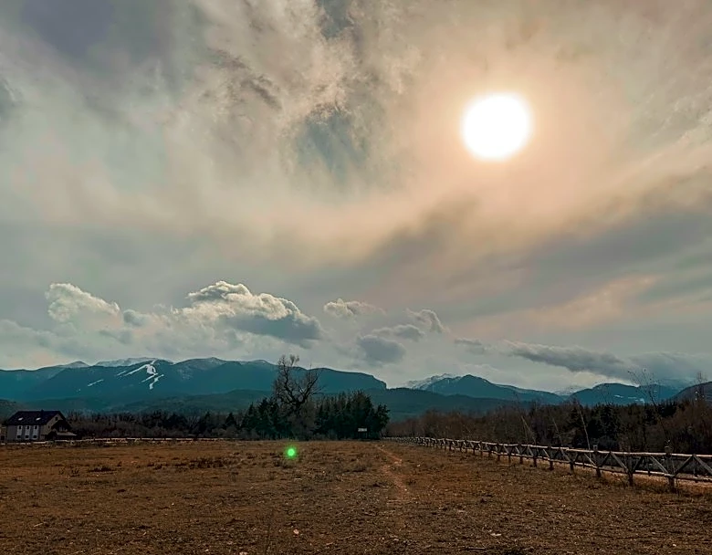 How to Prepare for Weather Challenges During a Marathon