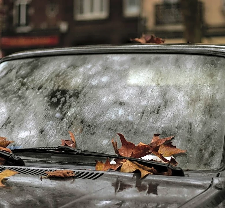 How Wet Leaves Can Damage Your Car and Compromise Safety
