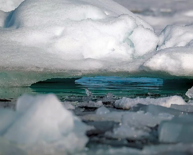 The Polar Vortex Is Sending a Surprising Winter Signal