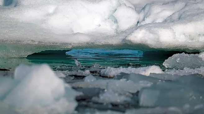 The Polar Vortex Is Sending a Surprising Winter Signal