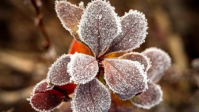 East Is About to Get Its First Taste of Frost This Week