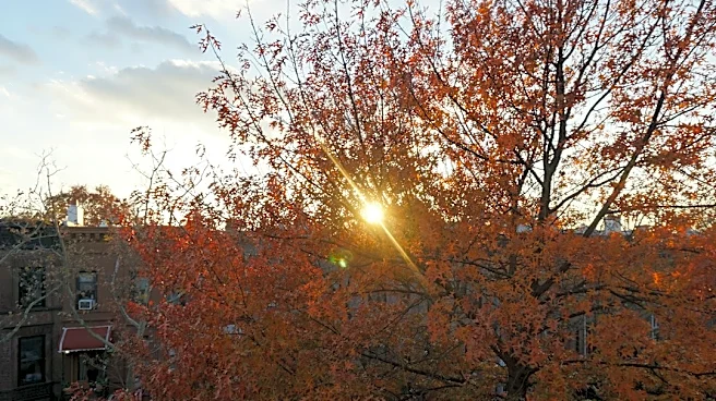 Brooklyn to See Cooler, Breezy Fall Weather
