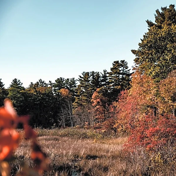 New England Enjoys Sunny Fall Week, Frost Possible