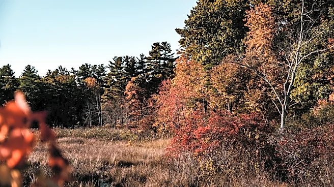 New England Enjoys Sunny Fall Week, Frost Possible