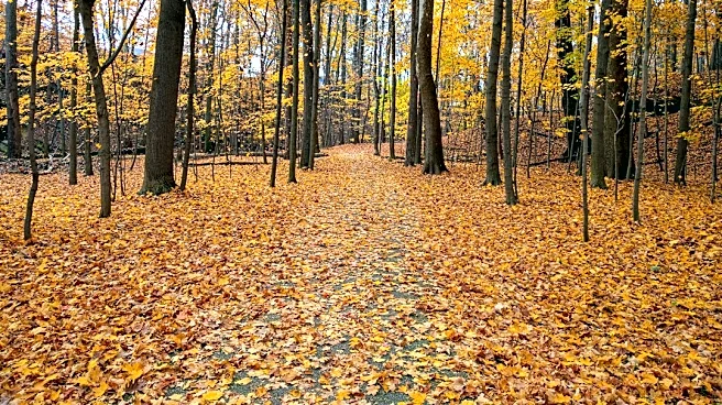 Ohio Implements Fall Burn Ban Amid Minimal Wildfire Activity