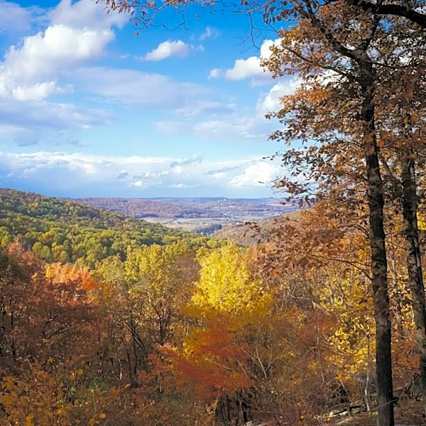 Sunny Fall Weather Arrives in Maryland This Week