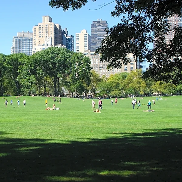 Sunny, Breezy Day Ahead for NYC