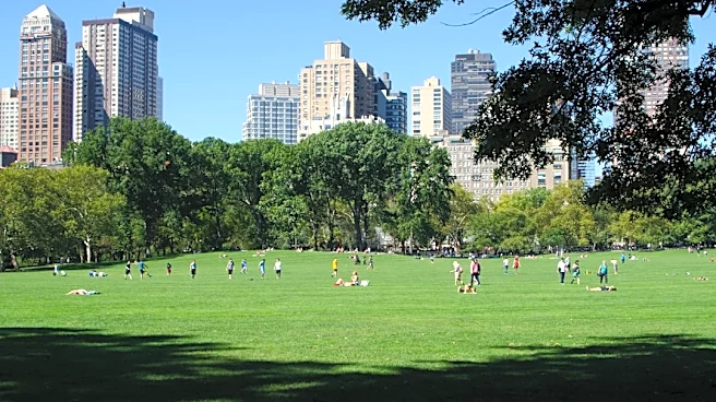 Sunny, Breezy Day Ahead for NYC