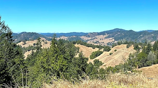 Heat Advisory in Northern California Until Wednesday