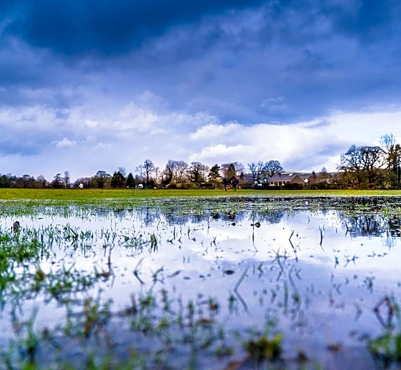 Heavy Rainfall Raises Concerns for Crop Insurance Claims