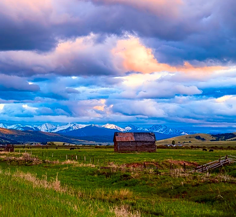 Lightning Kills 220 Sheep in Montana's Gravelly Range
