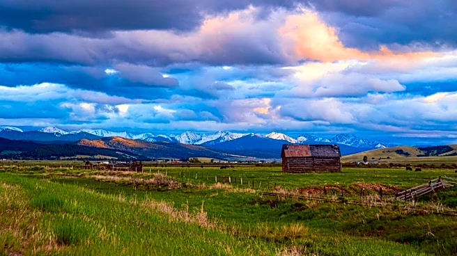 Lightning Kills 220 Sheep in Montana's Gravelly Range