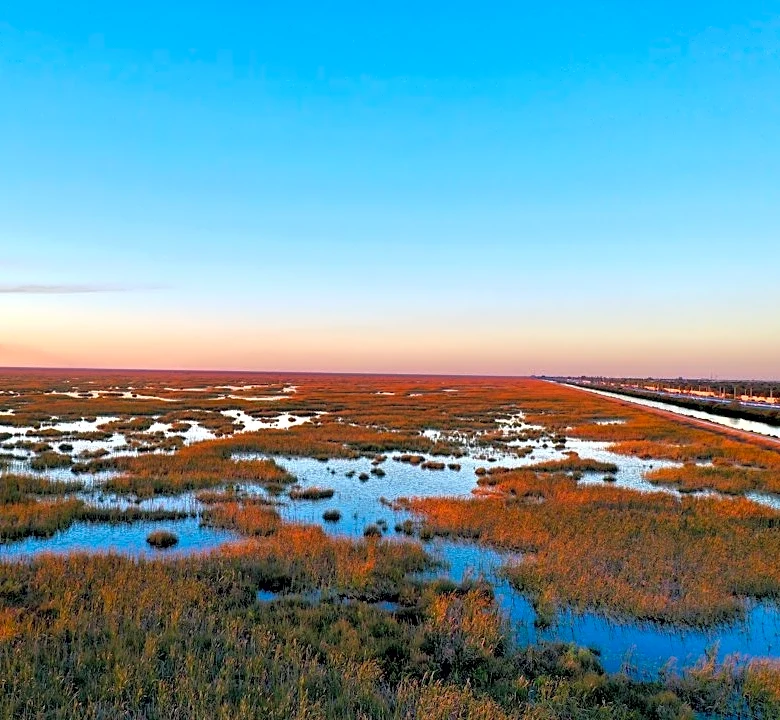 Winter Wildlife Thrives in Everglades National Park