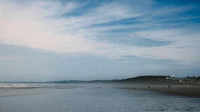Sunny Skies and Sea Breezes at Dewey Beach