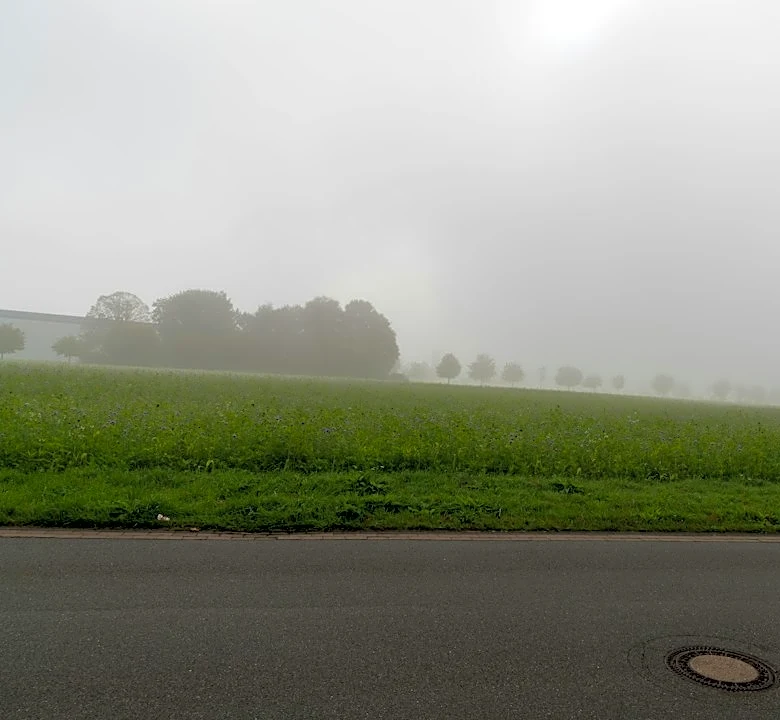 Foggy Morning Clears for Sunny Week in Oak Hill, WV