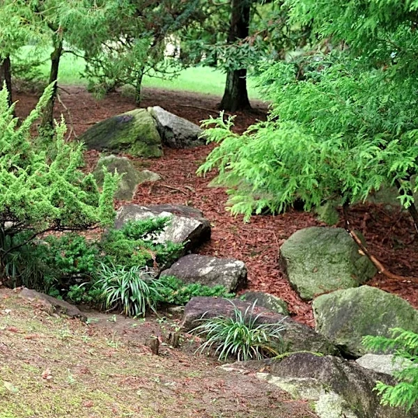 Prepare Your Garden for Winter Rains in Alameda County