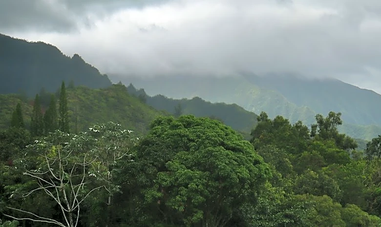 Breezy Trades and Rain Expected Across Hawaii