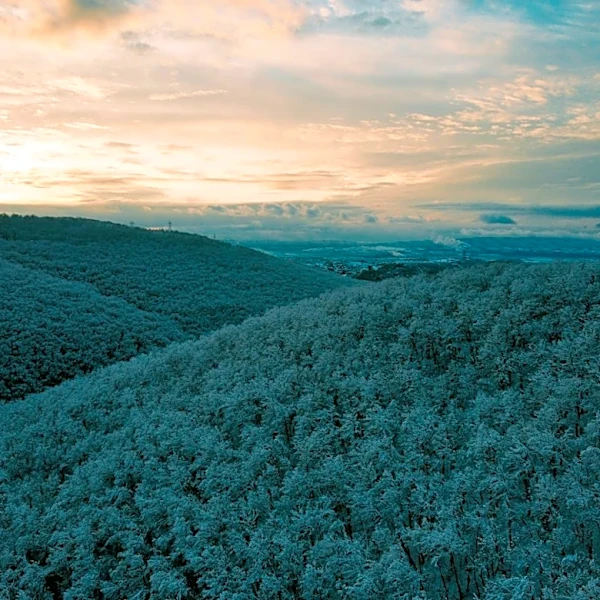 Frost Expected in Northeastern West Virginia This Week