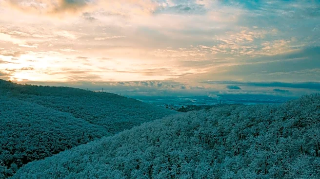 Frost Expected in Northeastern West Virginia This Week