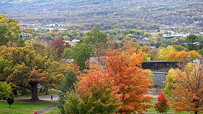 Cool, Breezy Weather in Ithaca This Week