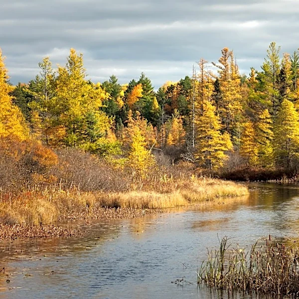 Exceptional Drought Hits Northern Wisconsin