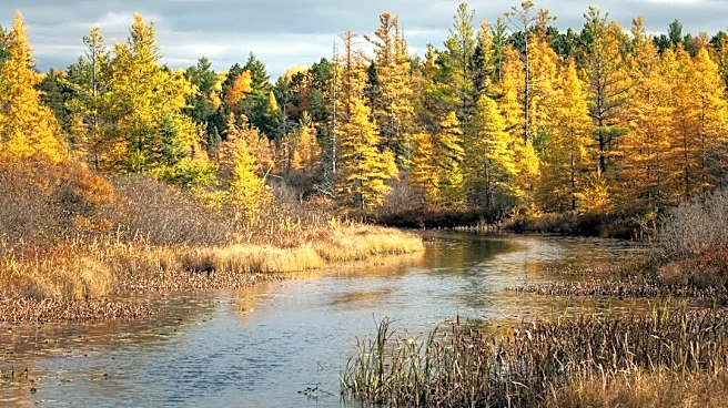 Exceptional Drought Hits Northern Wisconsin