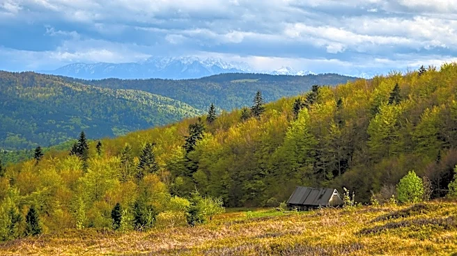 Understanding Fall Foliage: How and When Colors Change