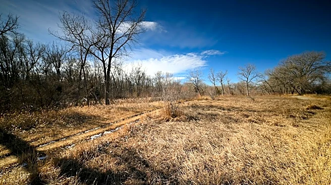 Understanding How Weather Impacts Quail Populations