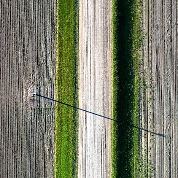 Heavy Rain Disrupts Harvest in Corn Belt
