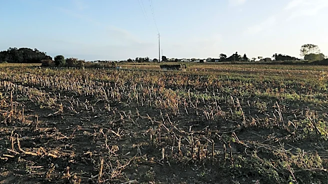 Dry Farming Research Offers Hope for Water Conservation